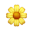 Skills Image